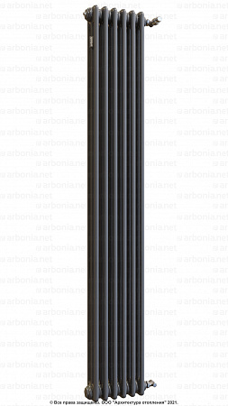Вертикальный радиатор Arbonia 3180/06 SF-3 Anthrazit metallic с боковой подводкой