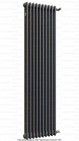 Вертикальный радиатор Arbonia 3180/10 SF-3 Anthrazit metallic с боковой подводкой