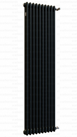 Вертикальный радиатор Arbonia 3180/10 RAL 9005 matt чёрный с боковой подводкой