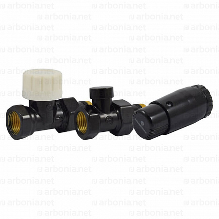Комплект Schlosser DN15 GZ1/2 x GW1/2 прямой с термостатом Мини M30x1,5 цвет Черный (602200057 Ral 9005)