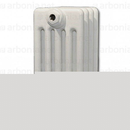 Радиатор Arbonia 5250/06 N12 3/4 RAL 9016